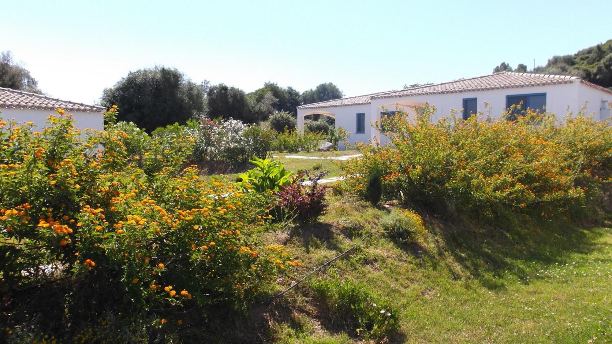 Hotel Baia Cea Bari Sardo Exteriör bild